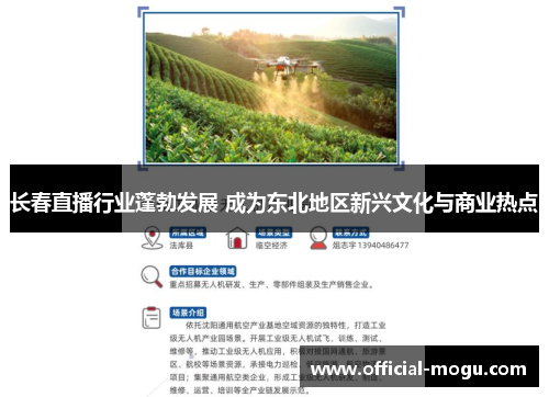 长春直播行业蓬勃发展 成为东北地区新兴文化与商业热点