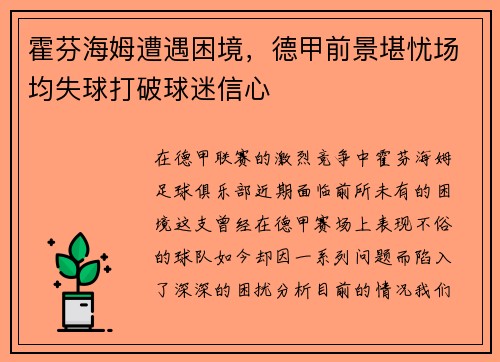 霍芬海姆遭遇困境，德甲前景堪忧场均失球打破球迷信心